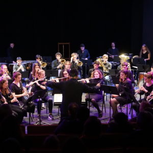 Concert des orchestres